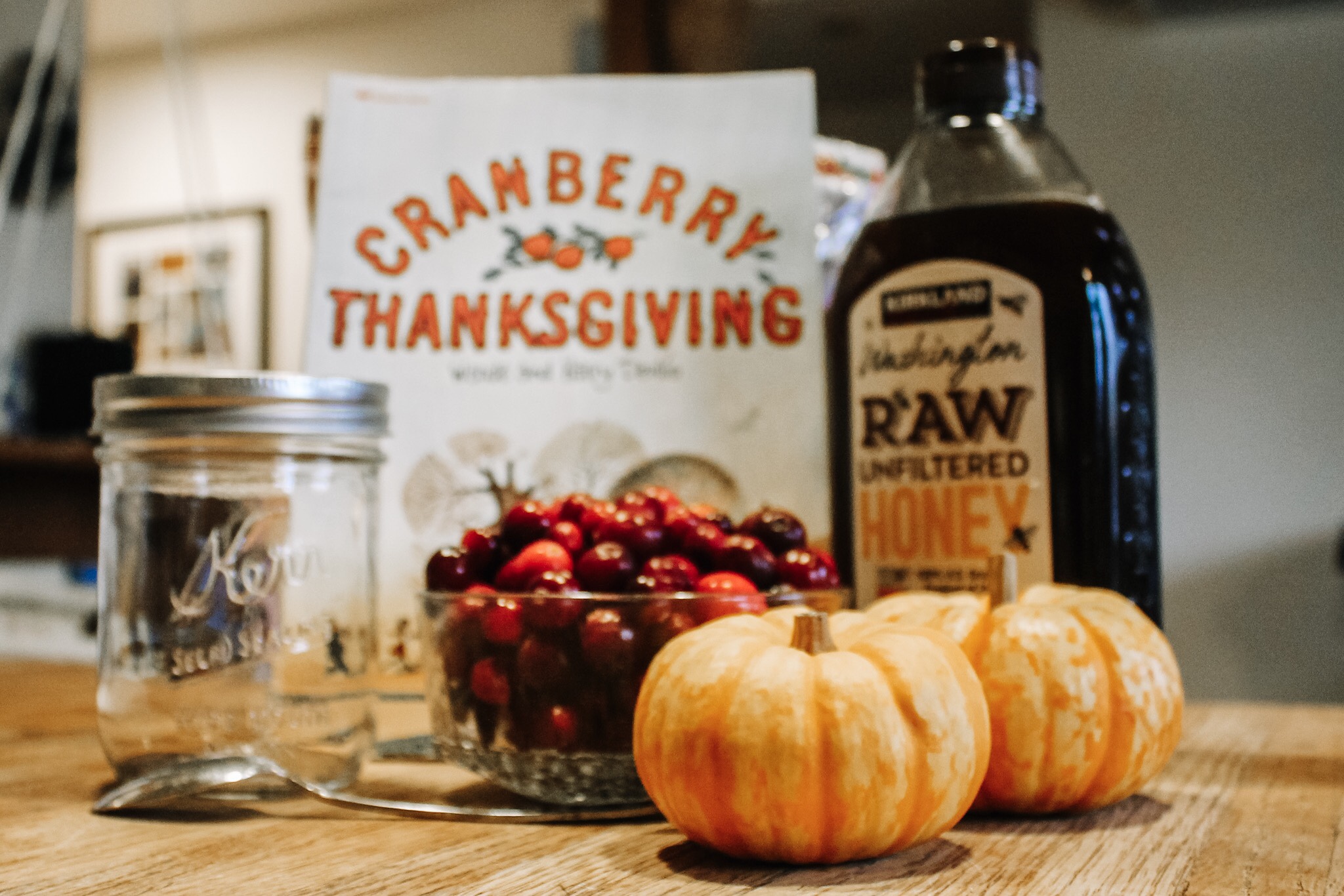 Easy Fermented Cranberries in Honey